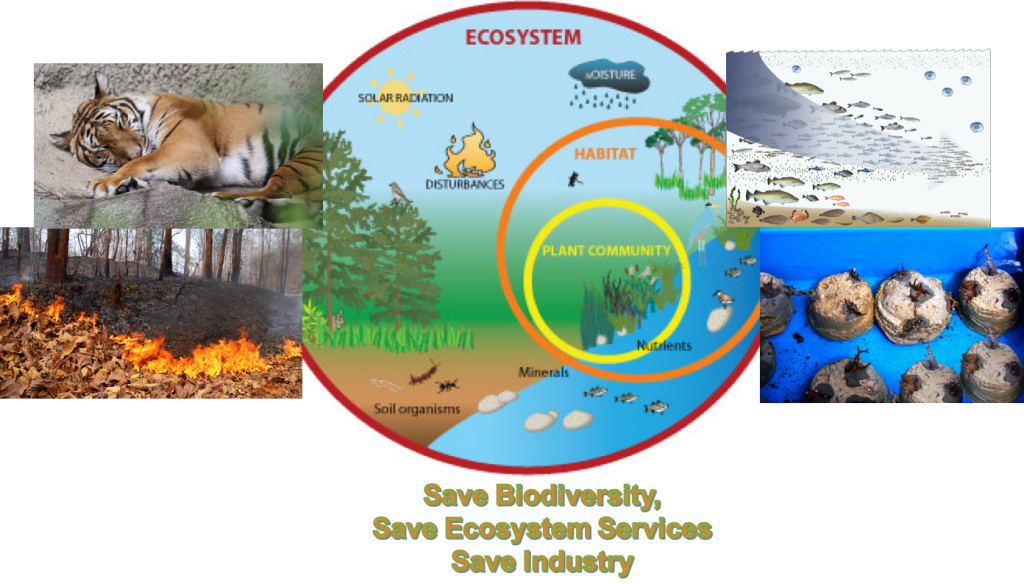graphic biodiversity blog 2
